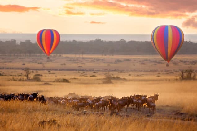 5-Day  Tanzania Safari with Hot Ballon