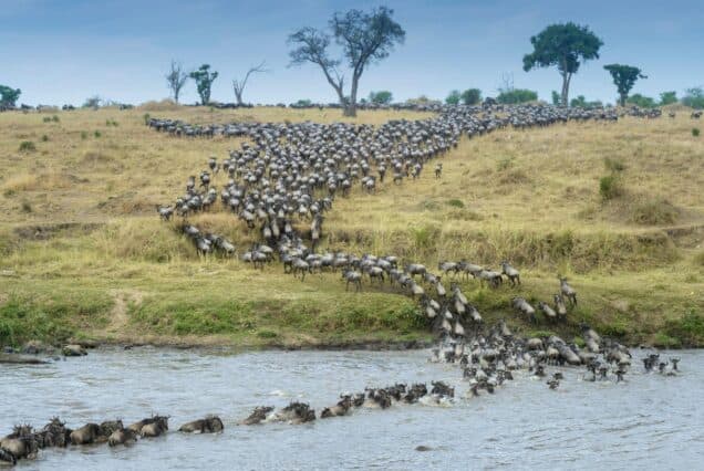 4-Day  Annivesary Fly in Tour Serengeti and Ngorongoro