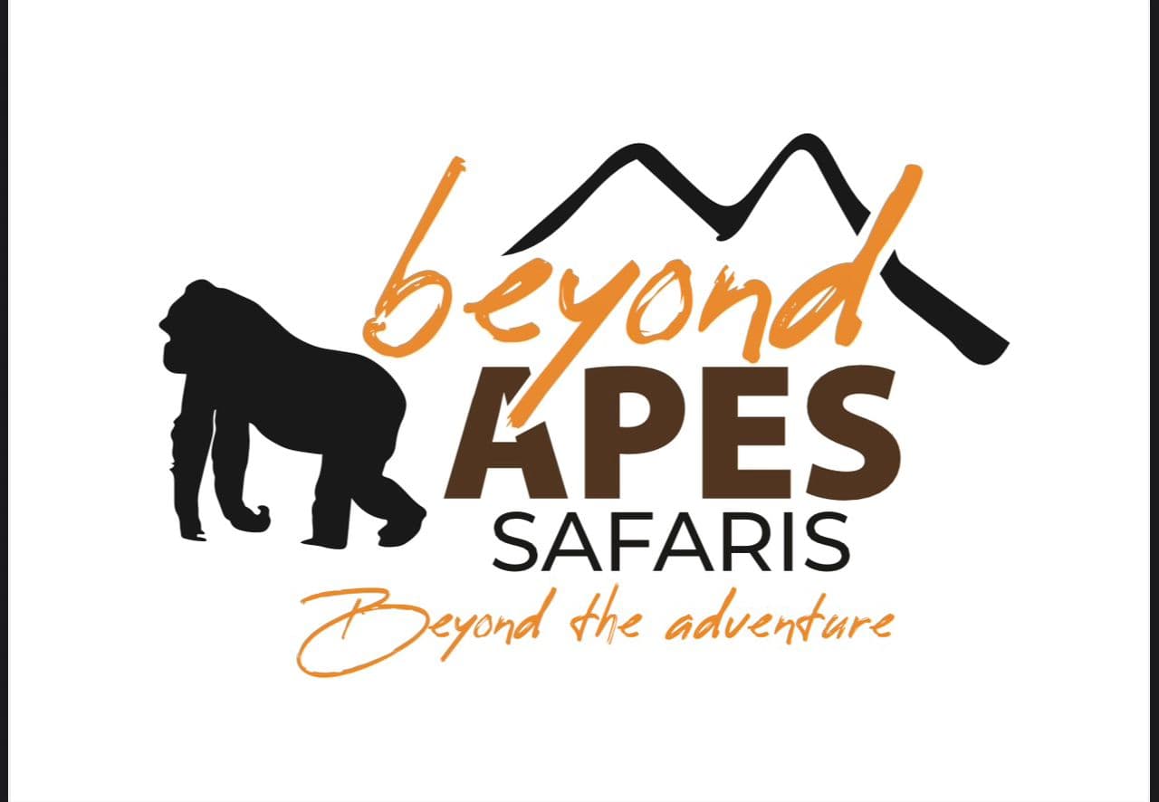 Beyond Apes Safaris Logo