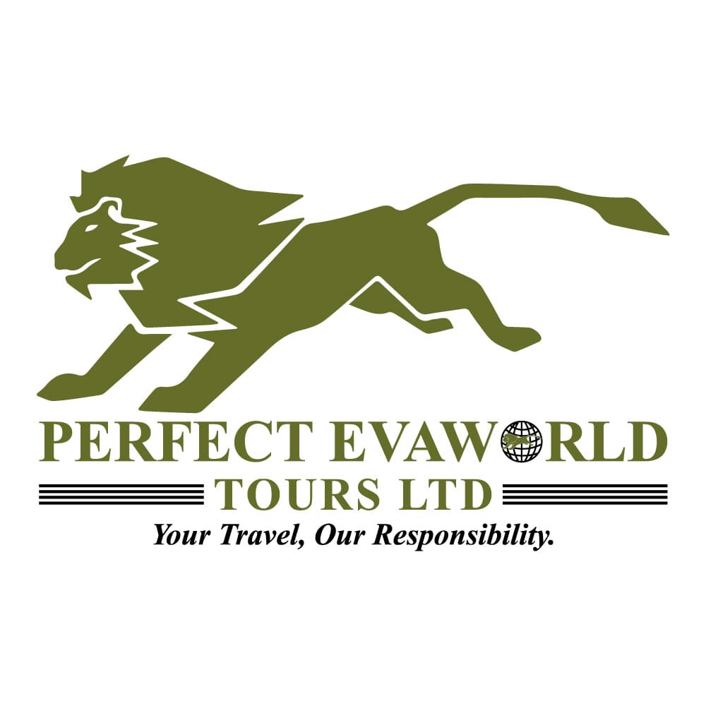 PERFECT EVAWORLD TOURS AND SAFARI Logo