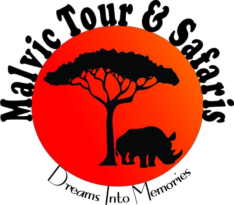 Malvic Tour And Safaris Ltd Logo