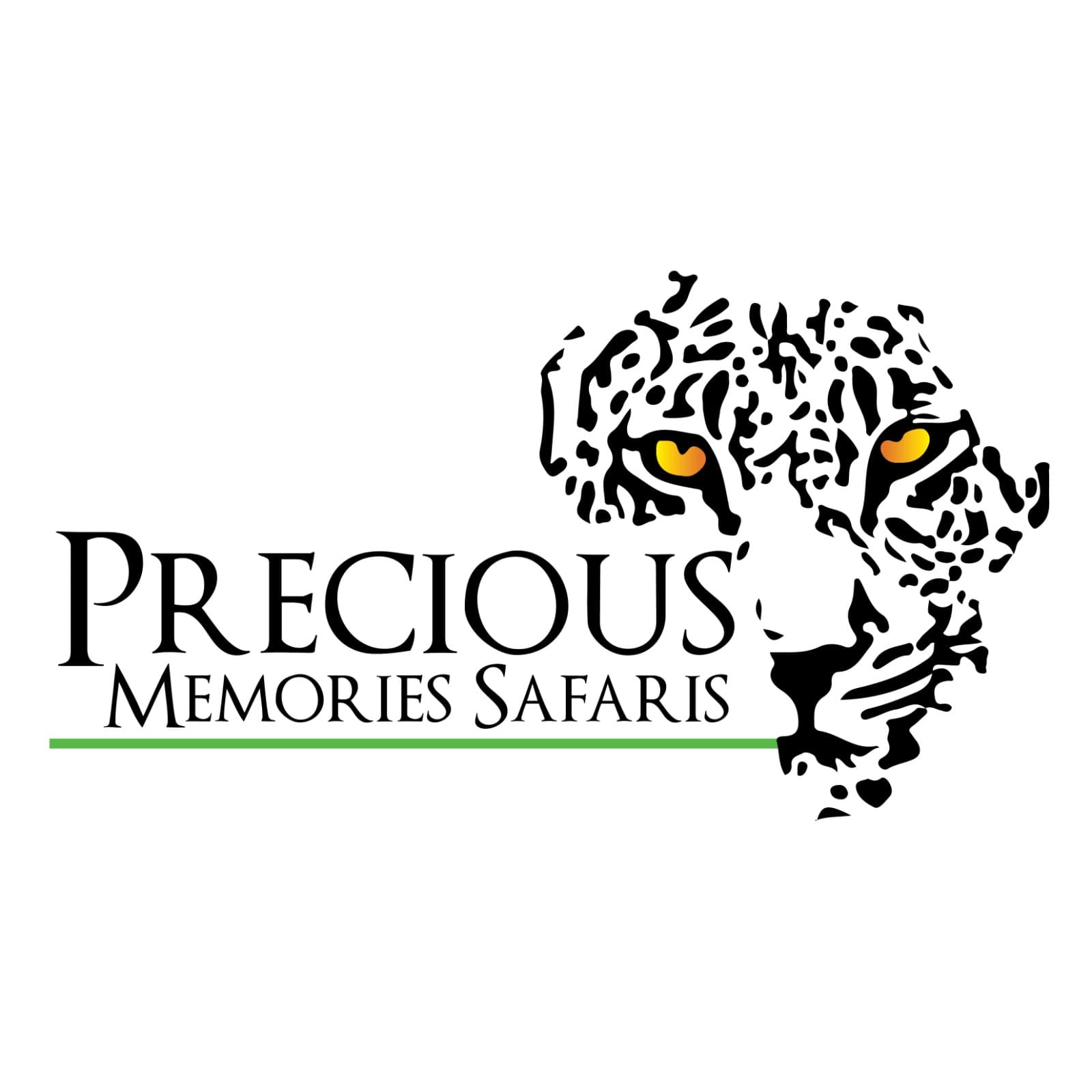 PRECIOUS MEMORIES SAFARIS Logo