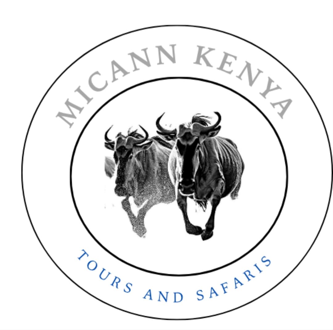 Micann Kenya Tours and Safaris Logo