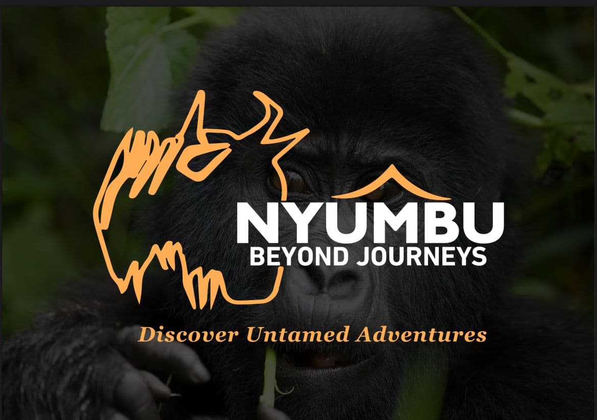 Nyumbu Beyond Journeys logo