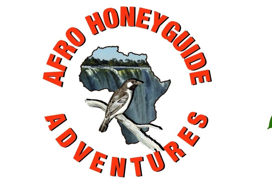 Nayes Travel and Tours t/a Afro Honeyguide Adventures Logo