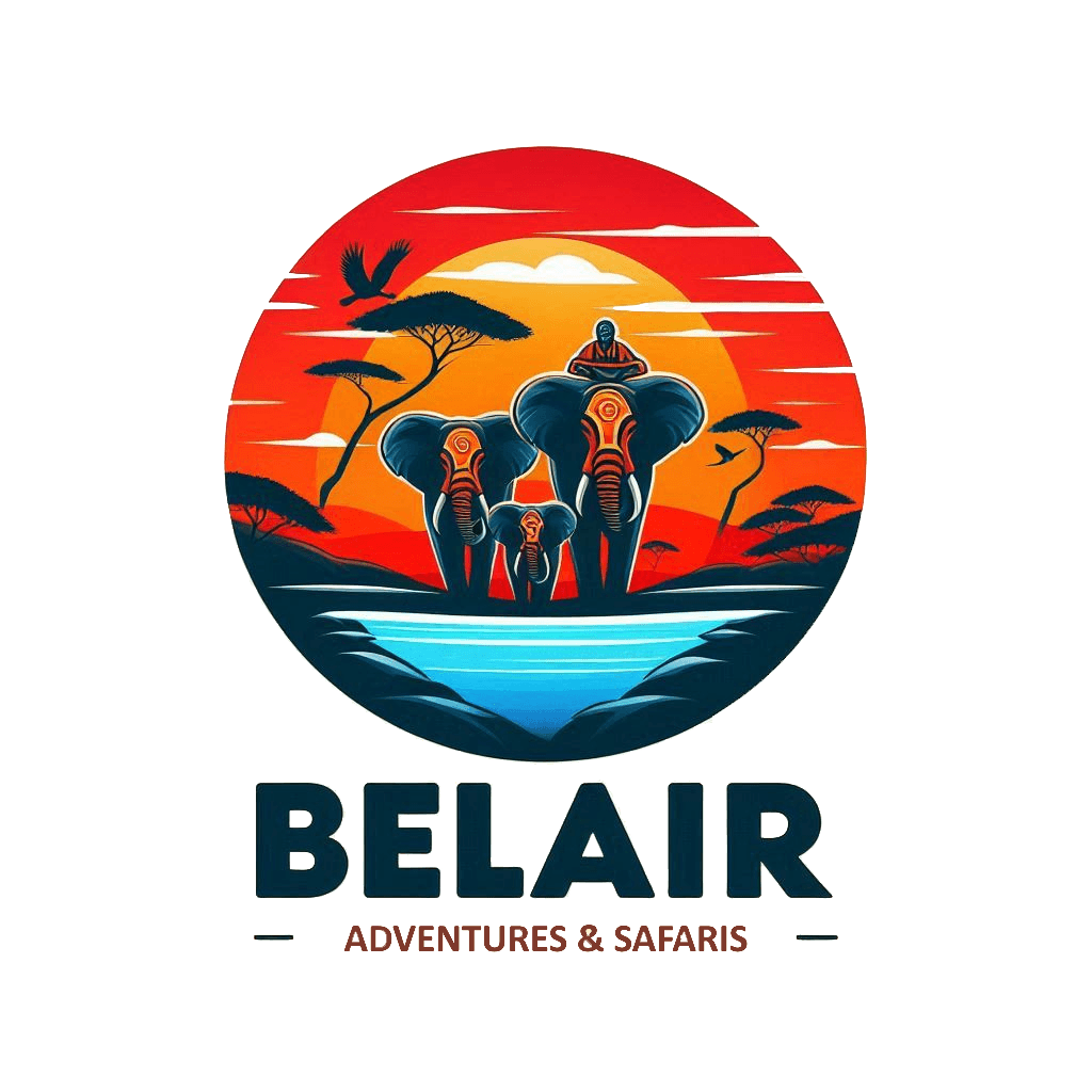 Belair adventures & Safaris Co. Logo
