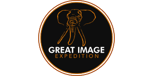 Great Image Expedition logo