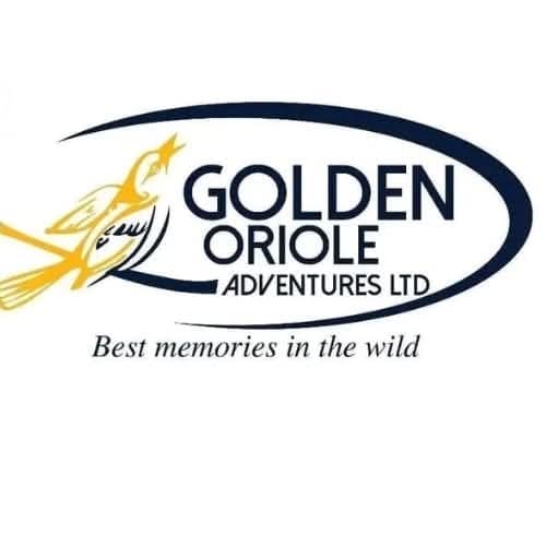 Golden oriole adventures limited Logo