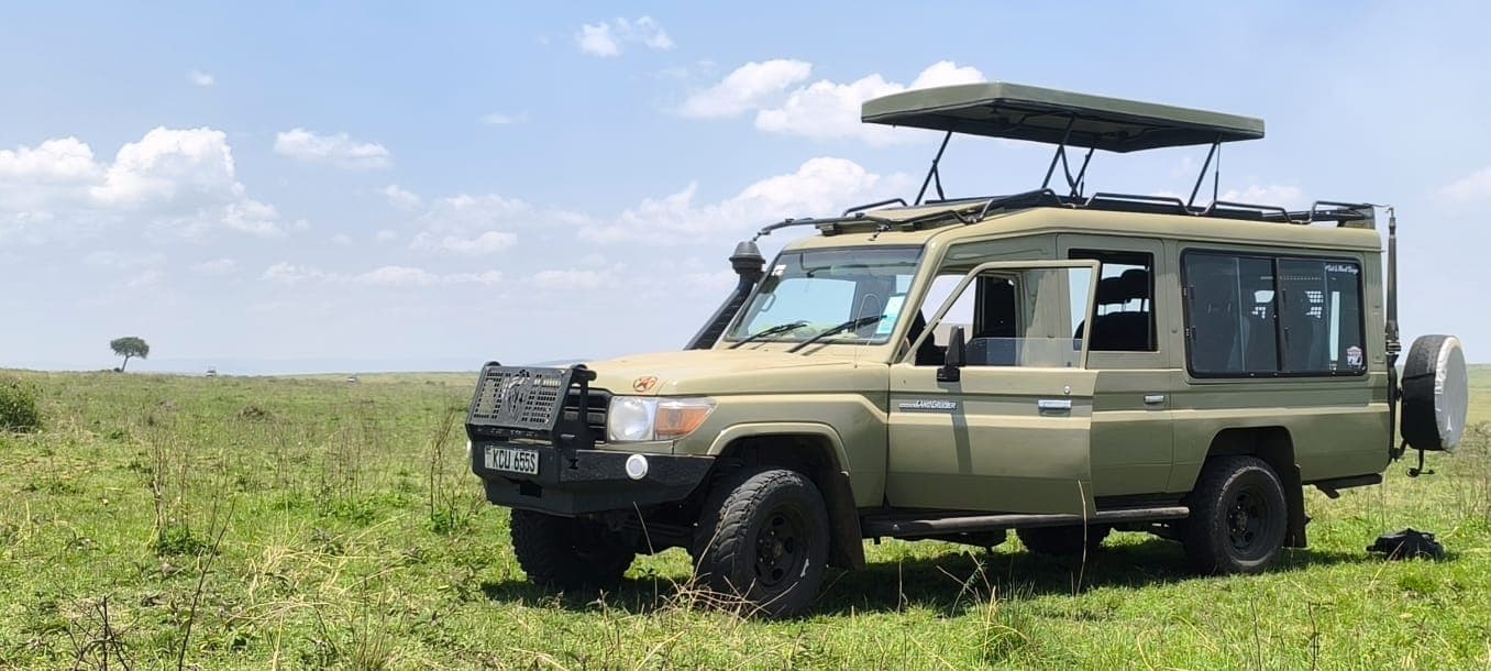 Kay Adventure Tours Logo