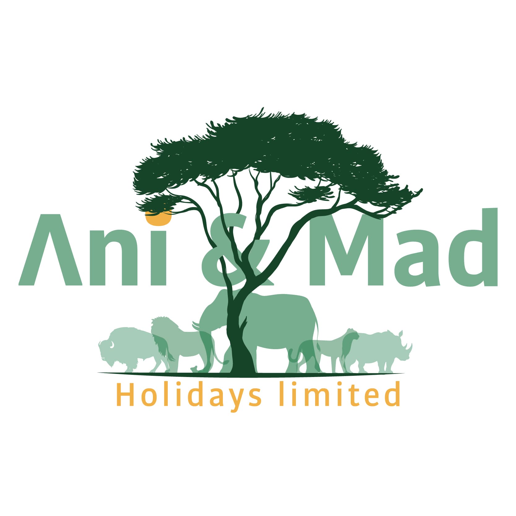 Ani & Mad Holidays Limited logo