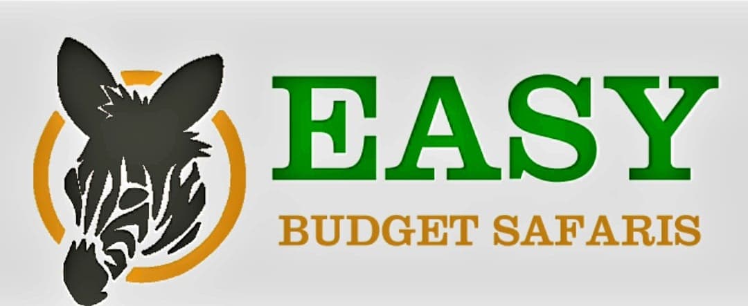 Easy Budget Safaris Ltd