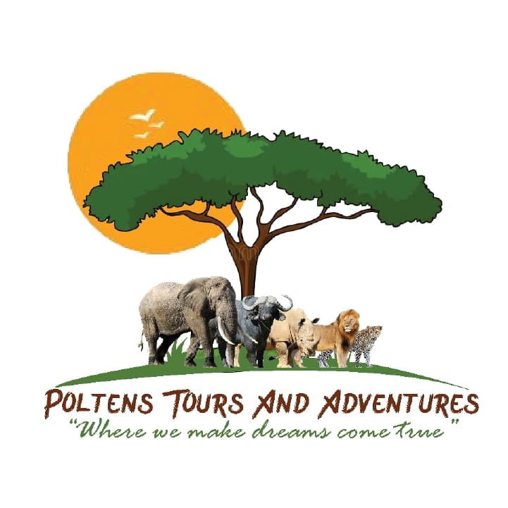 POLTENS TOURS AND ADVENTURES Logo