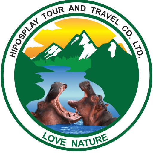Hiposplay Tours and Travel Co. Ltd Logo