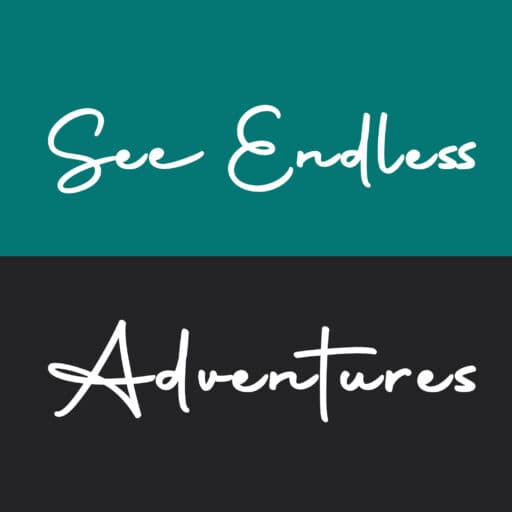 See Endless Adventures Tanzania logo