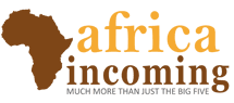 Africa Incoming Logo