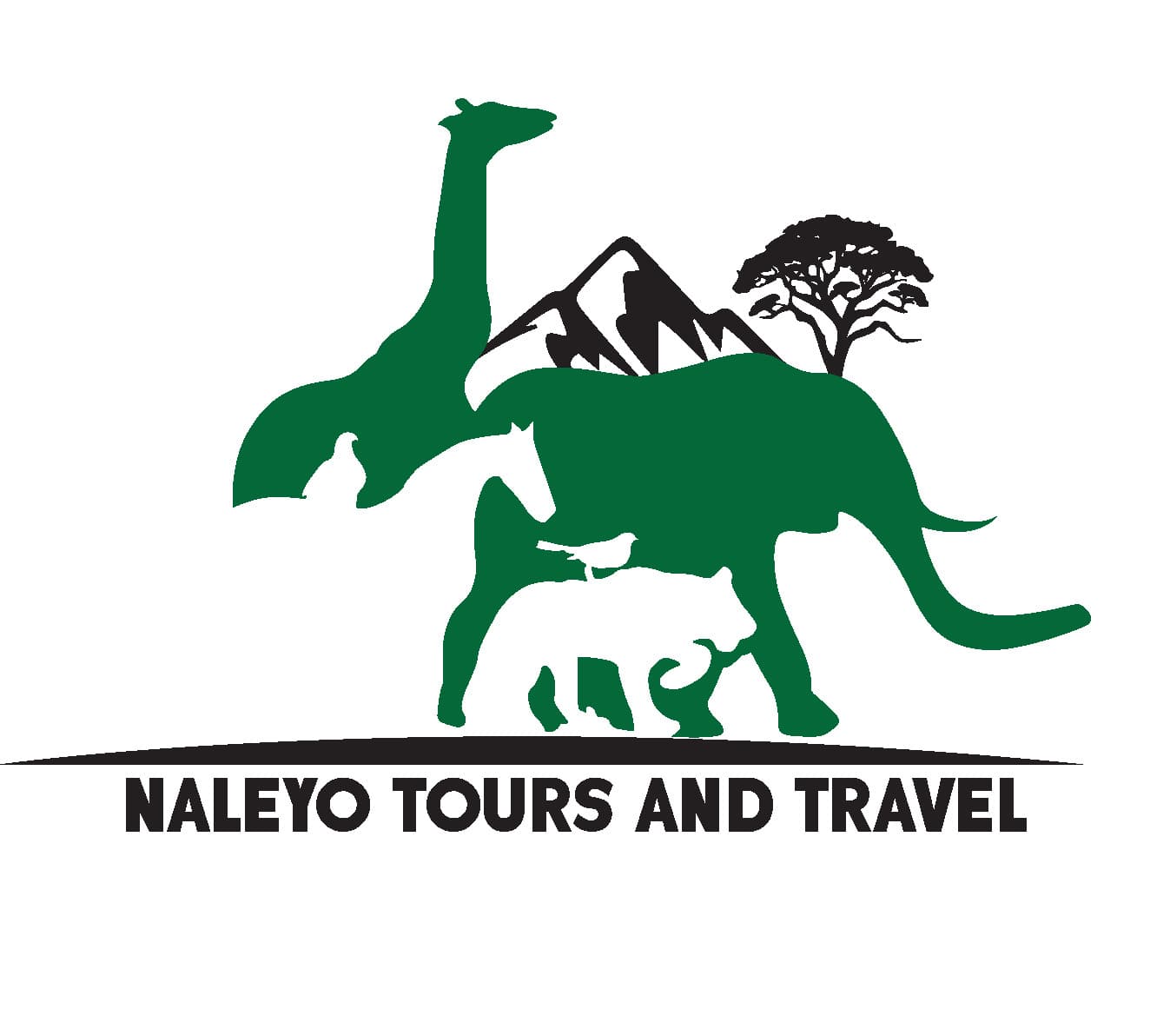 Naleyo Tours and Travel logo