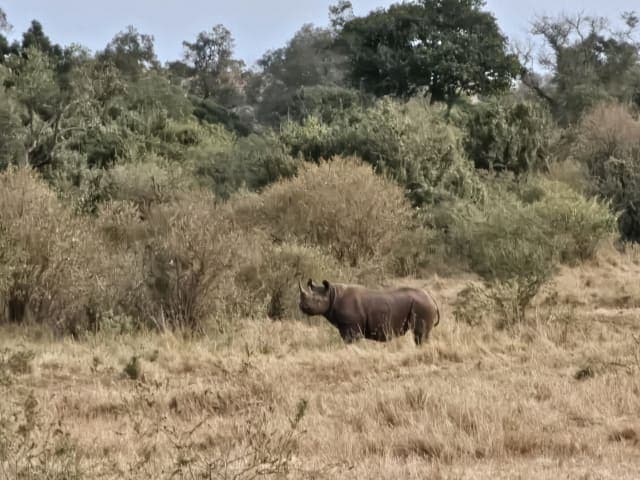 3-Day Uganda Gorilla Tour