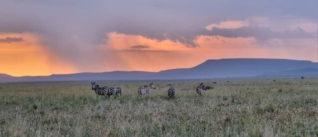 7-Day Tarangire/Ngorongoro/Serengeti/Manyara Road Safari