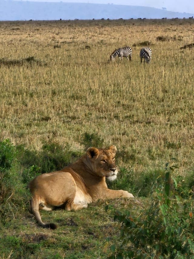 8-Day Kenya & Tanzania Combined Road Safari