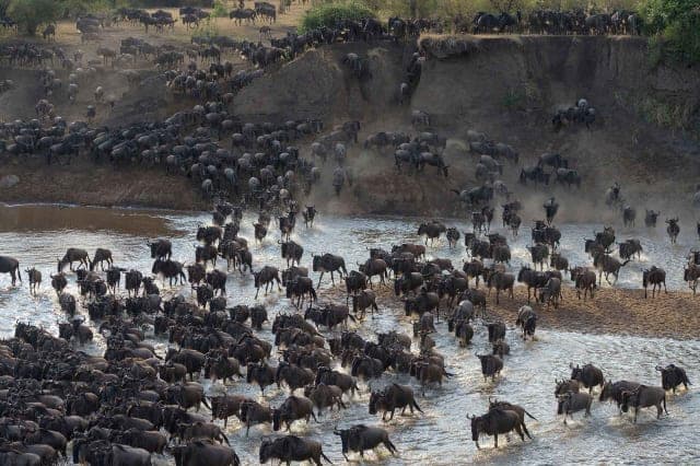 7-Day Kenya & Tanzania Safari - Iconic Parks