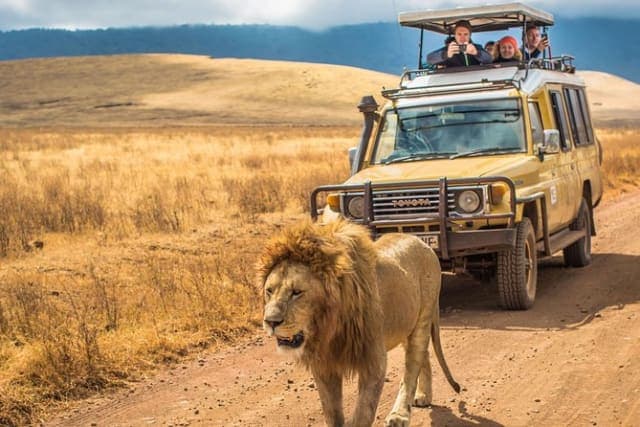 4-Day Tanzania Wildlife Experience