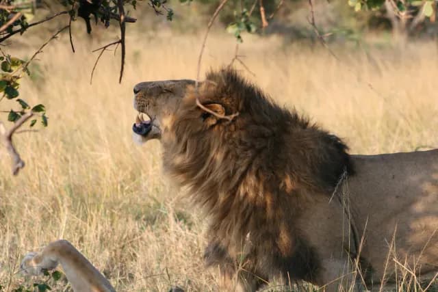 3-Day Lake Manyara, Tarangire and Ngorongoro Crater Safari