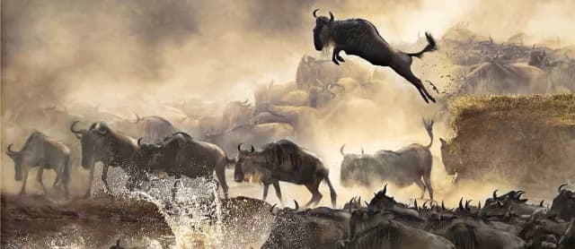 5-Day Serengeti Wilderness Safari Experience