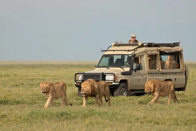 4-Day Tarangire,Serengeti,Ngorongoro Group Joining Safari