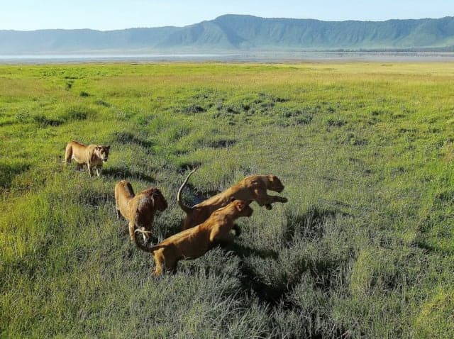 3-Day 3 days High-end Safari