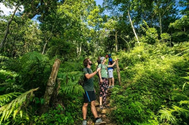 5-Day Authentic Tanzania Safari