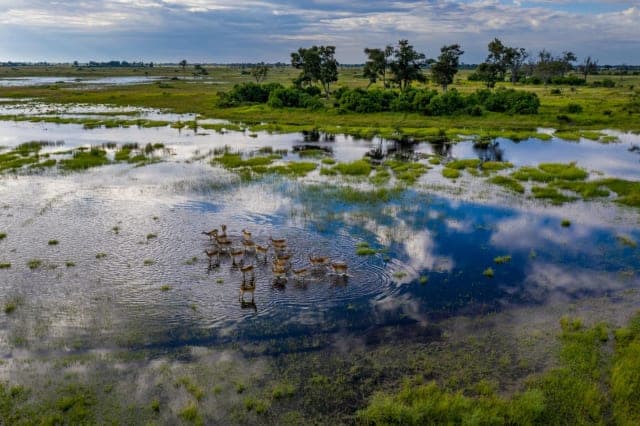15-Day Ultimate Zambia Overland Safari