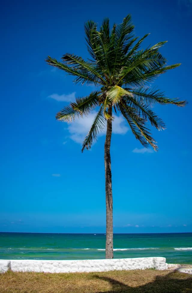 3-Day Malindi Flying Package