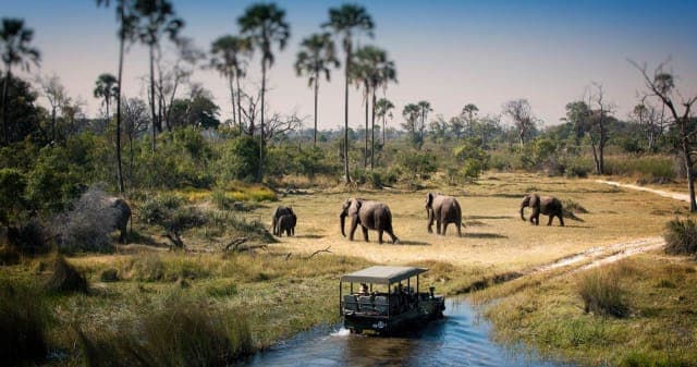1-Day Chobe Day Trip