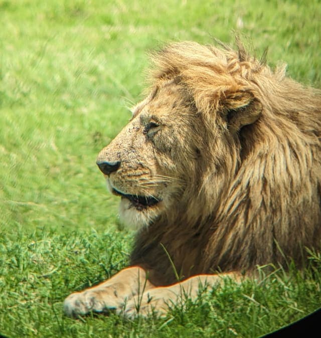 3-Day Amboseli by Train