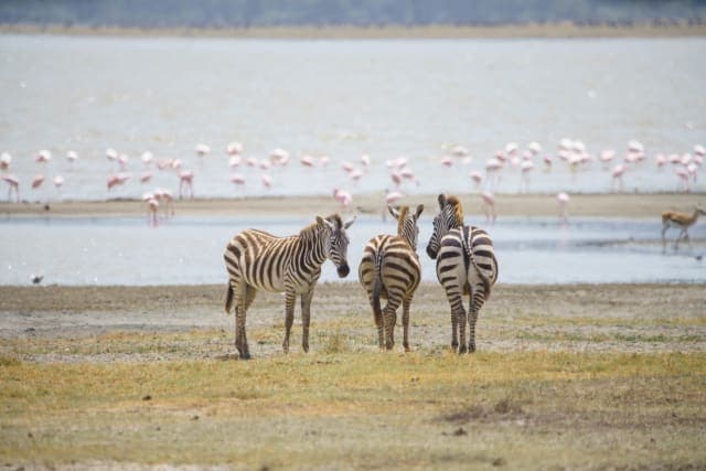 2-Day Fly-in Safari Tarangire National Park & Ngorongoro Crater