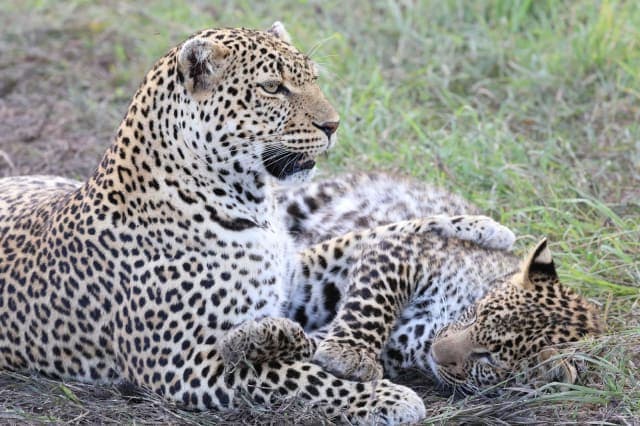7-Day Classic Kenya Circuit Safari