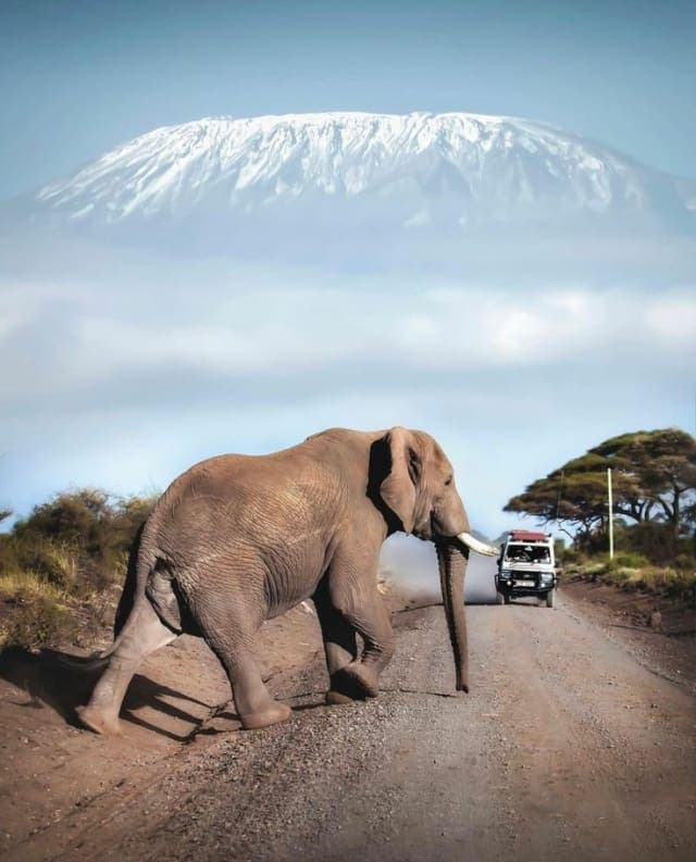 3-Day Amboseli Camping