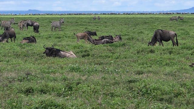 1-Day TARANGIRE DAY TRIP
