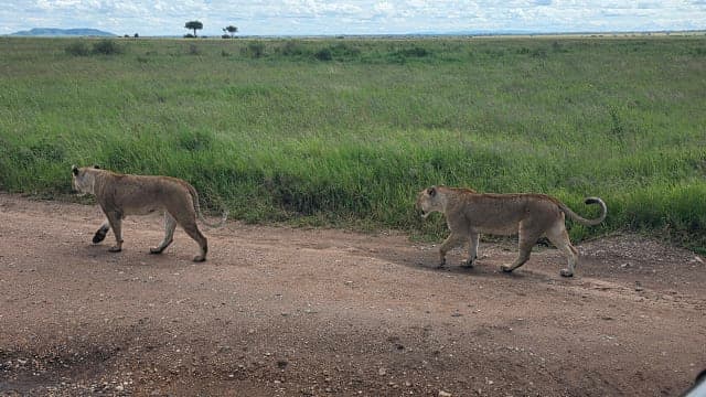 10-Day 10-Day 10-Day Northern Tanzania Adventure Safari & Cultural Experience JULY TO OCTOBER