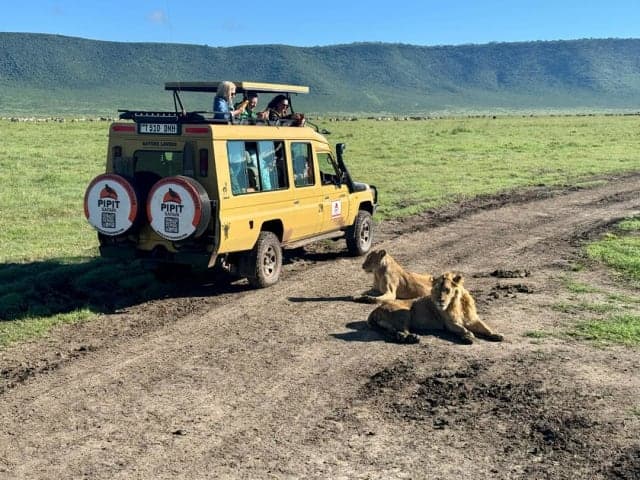 6-Day Fly in Drive Out Luxury Safari