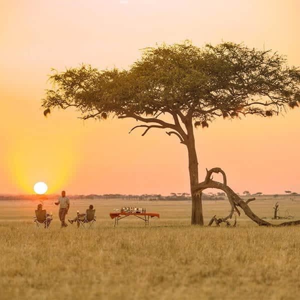 4-Day days of epic adventure through Tanzania’s wild heart!