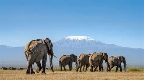 5-Day Amboseli & Tsavo East National Parks