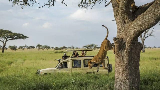 9-Day Signature Tanzania Safari Experience