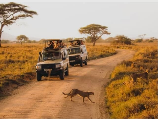 4-Day Tanzania Wildlife Safari from Arusha – Serengeti, Ngorongoro Crater & Tarangire Big Five Adventure