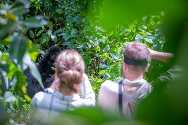 7-Day Tailor-Made Holiday and Tour in Uganda via Rwanda