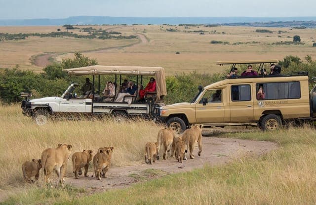 7-Day Ultimate Tanzania Northern Circuit Safari