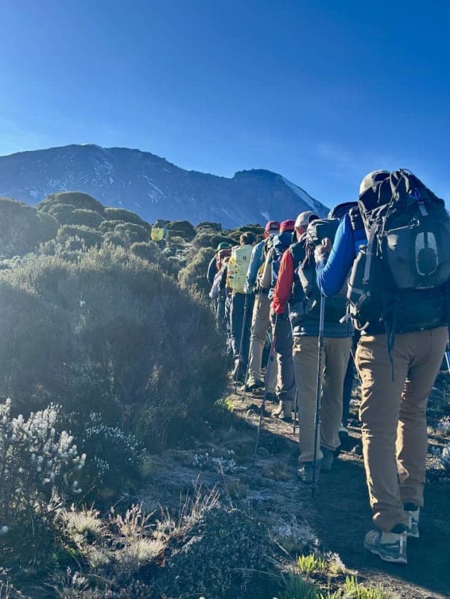 8-Day Mount Kilimanjaro Climb via the Scenic Lemosho Route