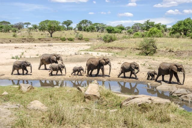 5-Day Budget Camping Safari – Northern Tanzania Adventure