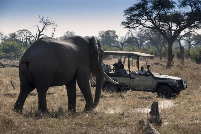 Okavango Delta Wilderness: 3-Day Escape