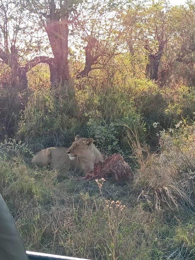 1-Day Okavango Delta Exploring Trip in Botswana